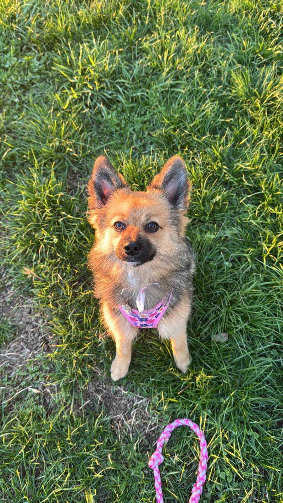 WhatsApp Image 2026-0jt2-20 at 09.43.36.jpeg